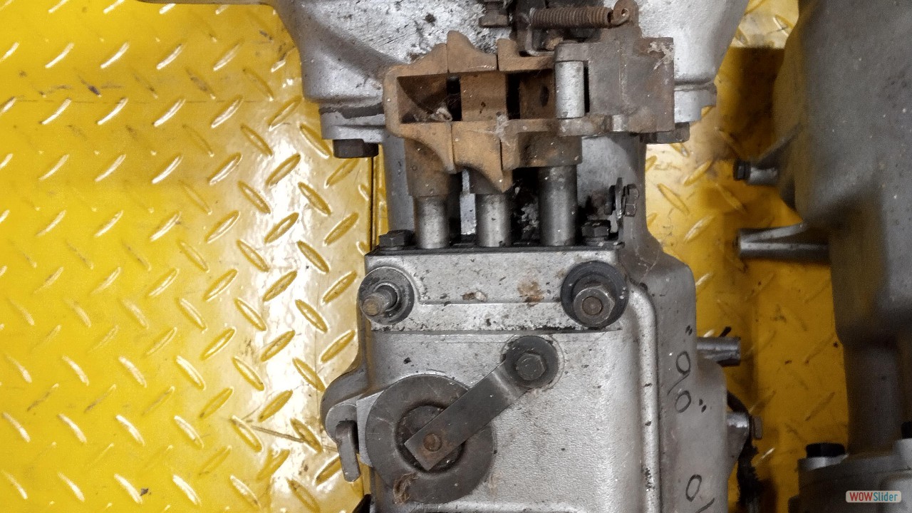 IMG_20240926_152059_HDR copy IMG_20240926_152059_HDR copy