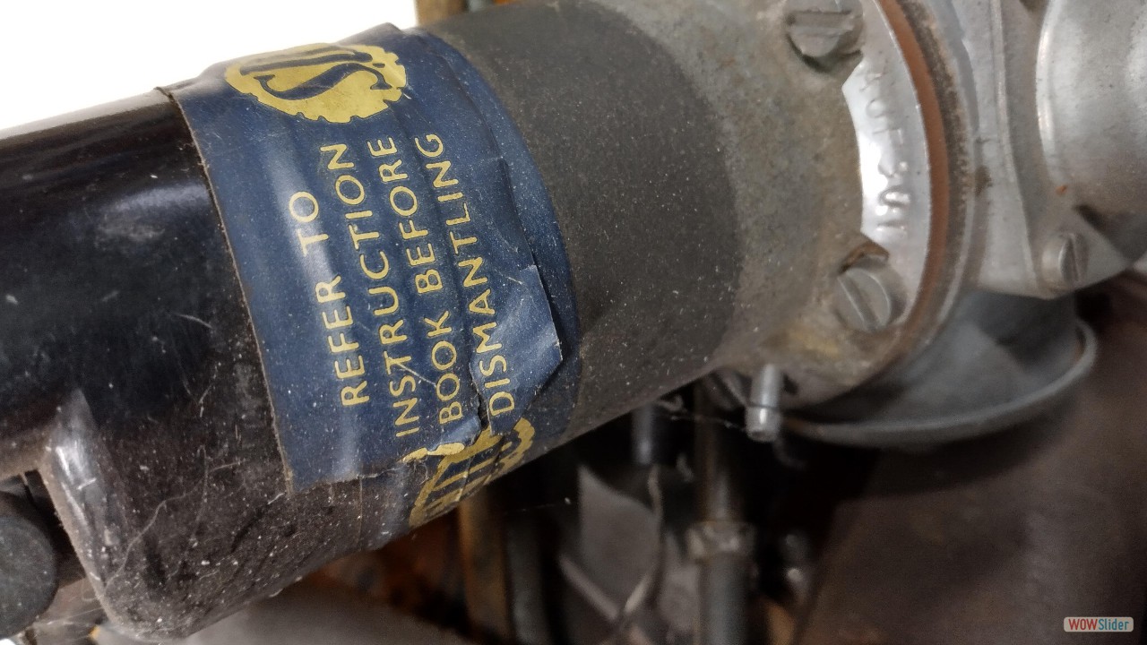 IMG_20250818_153101_MP copy IMG_20250818_153101_MP copy